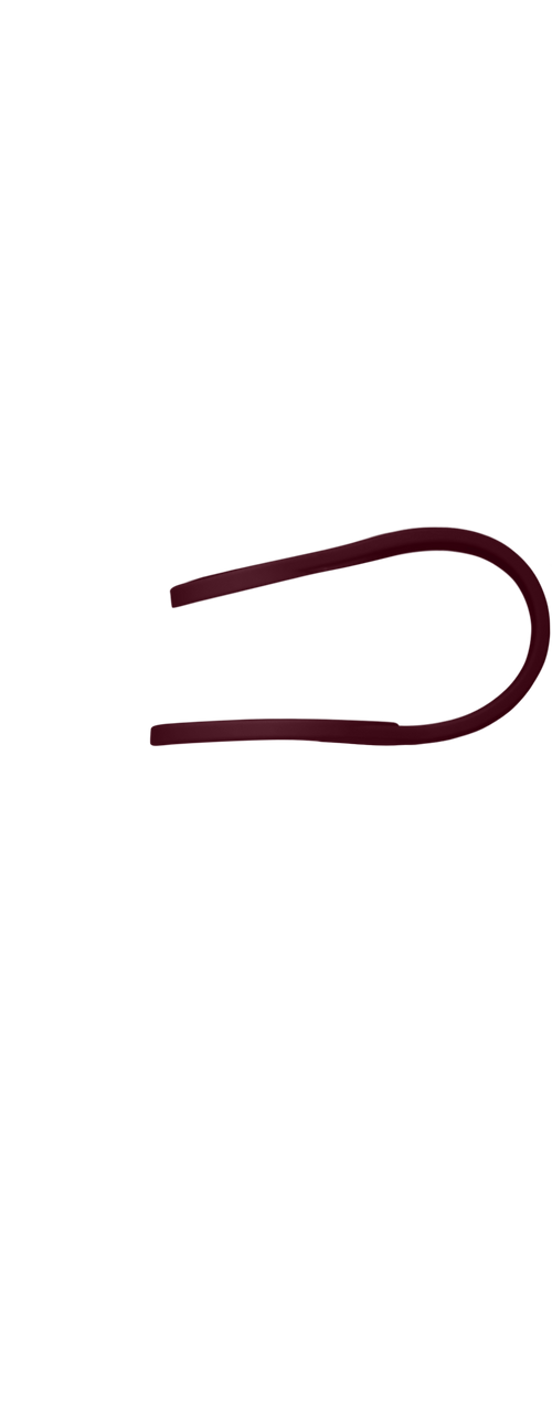 Band Image
