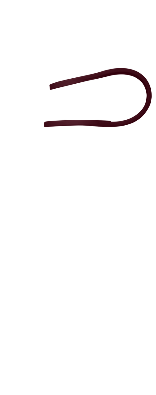 Band Image