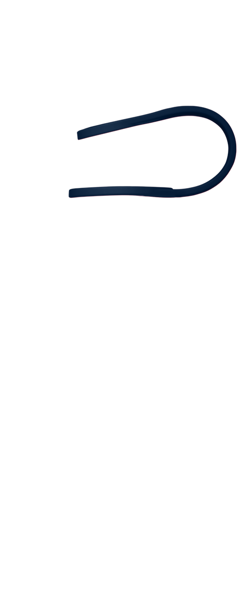 Band Image