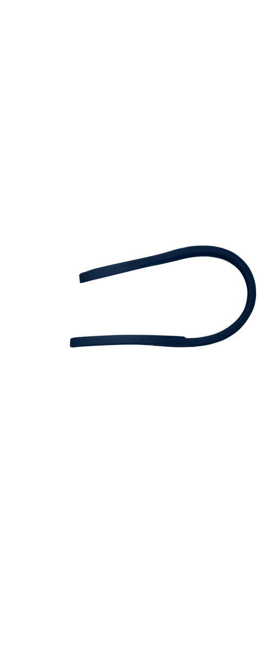 Band Image