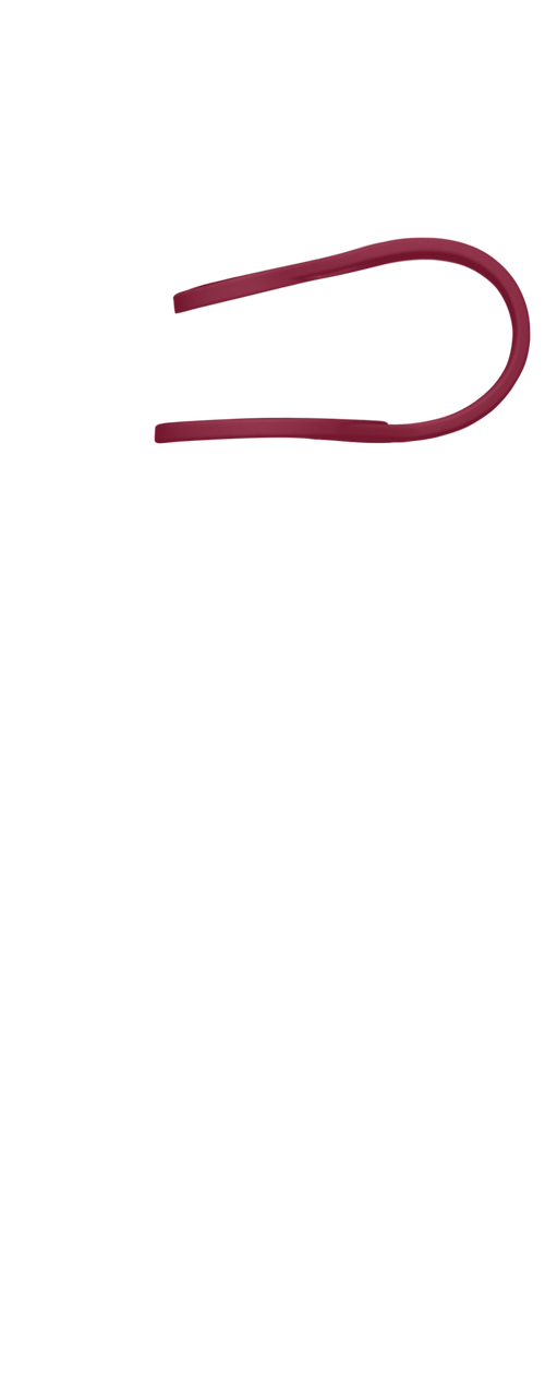 Band Image