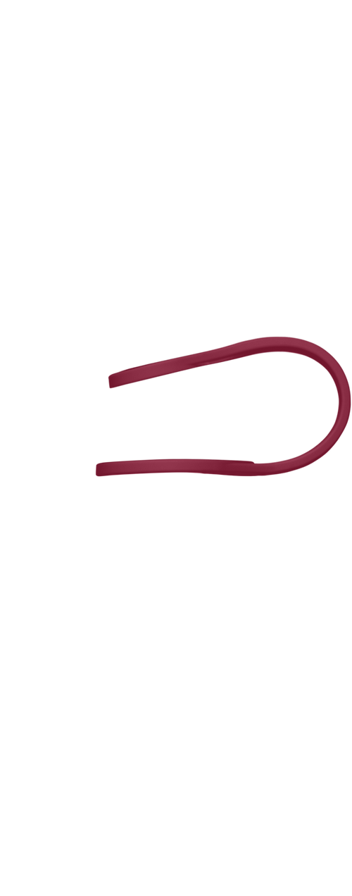 Band Image