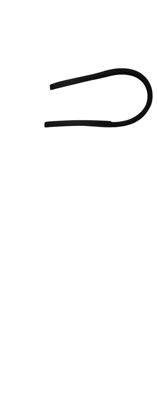 Band Image