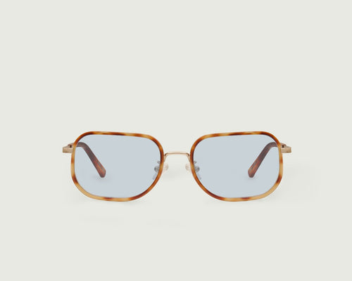 Safari Tort::Levi Sunglasses round brown plastic front