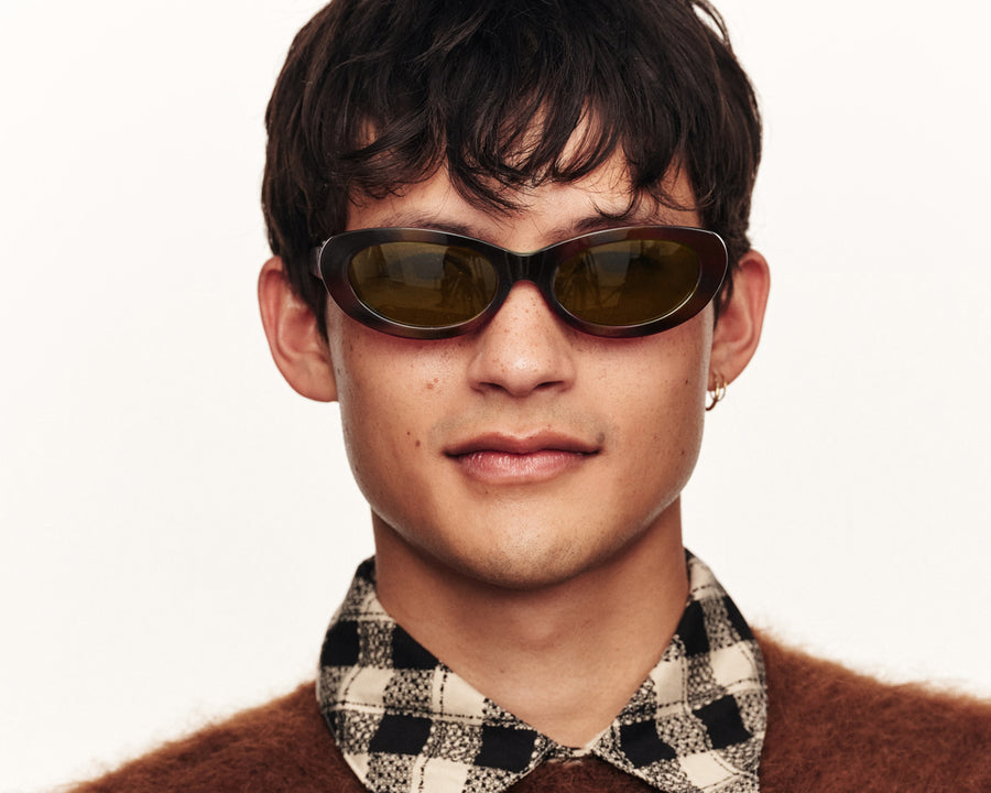 men Dakota Sunglasses cateye tort acetate