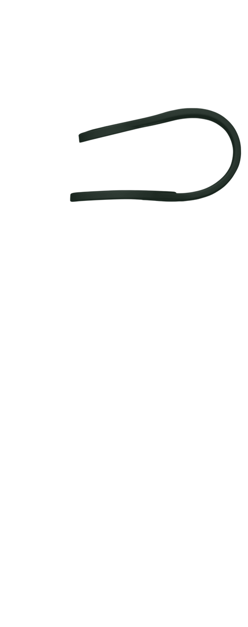 Band Image