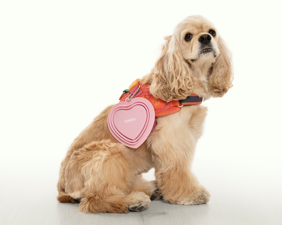 Pet Bowl  Pink