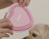 lifestyle-Taffy::Pet Bowl  Pink 