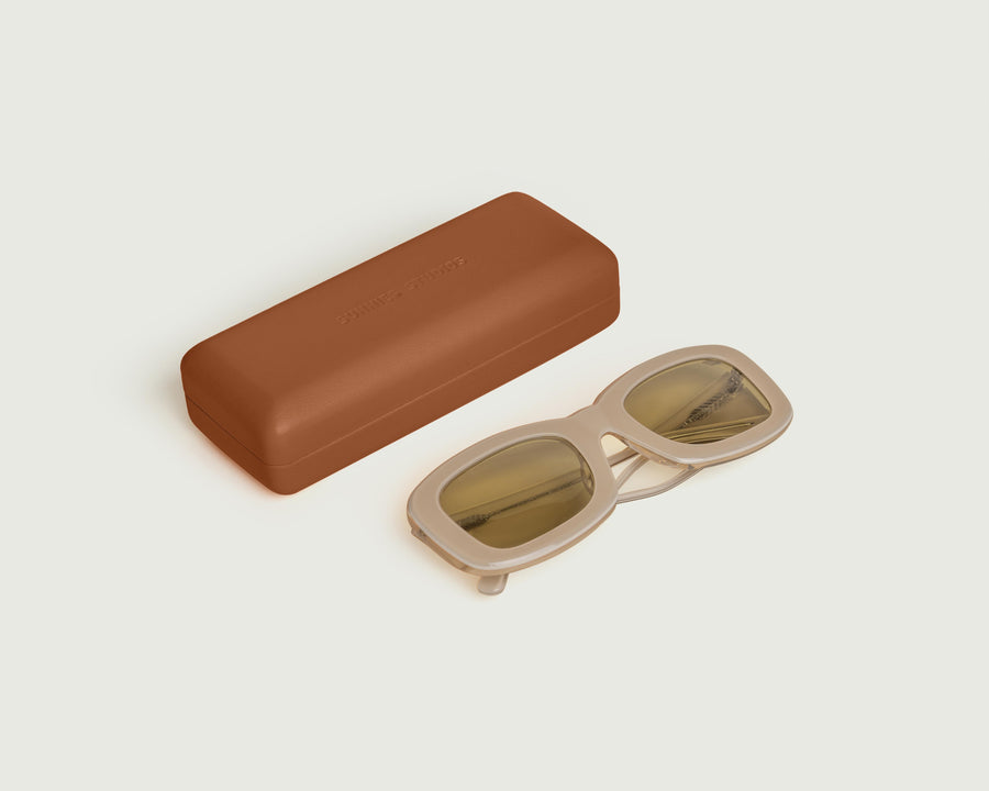 Hard Cae Eyewear Case brown