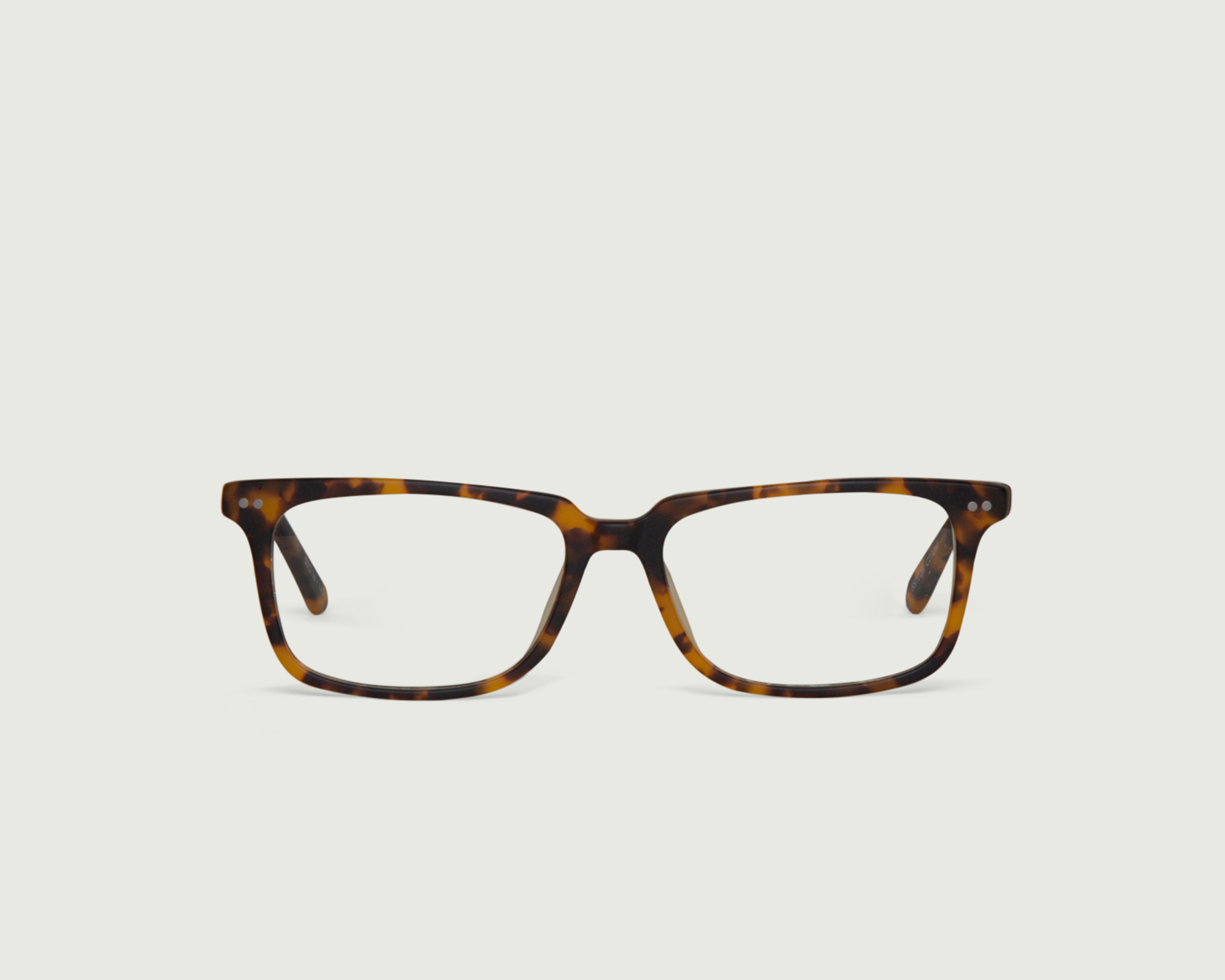 Cheetah::Alister Eyeglasses rectangle tort plastic front
