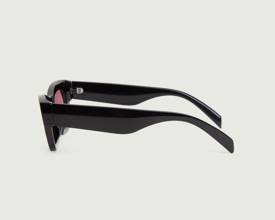 Crane - RX Sunglasses - Island Optics