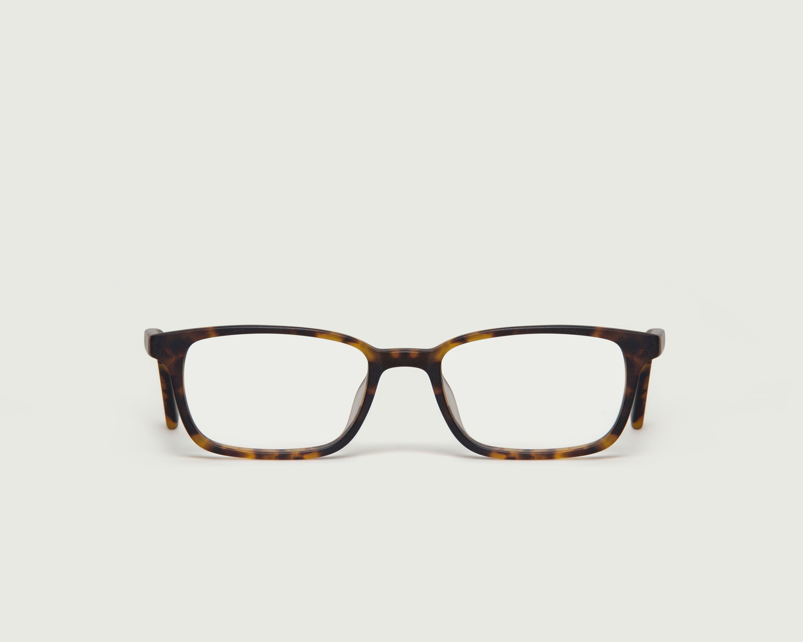 Tort Matte::Newton Eyeglasses rectangle tort acetate front