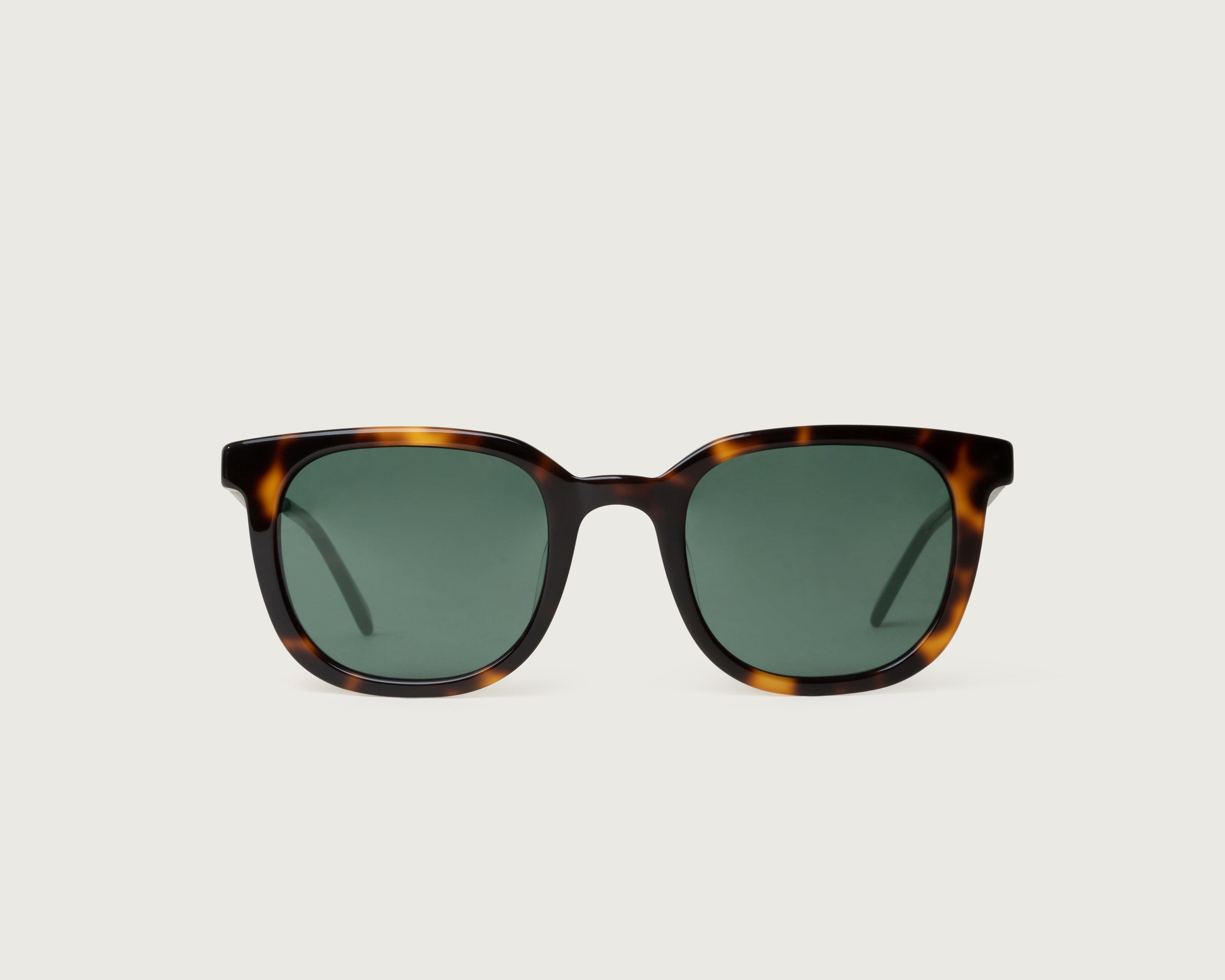 Safari Tort::Miles Sunglasses square brown  plastic front